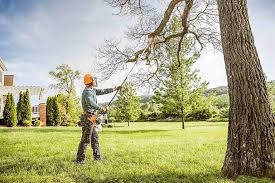 Best Tree Fertilization Services  in USA